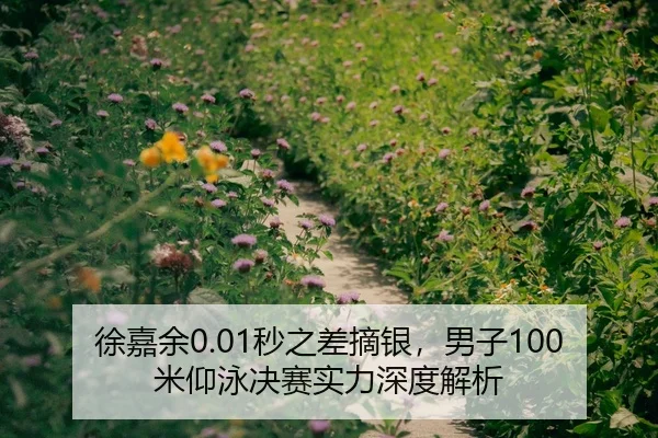徐嘉余0.01秒之差摘银，男子100米仰泳决赛实力深度解析