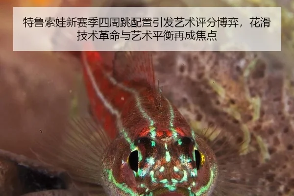 te-lu-suo-wa-xin-sai-ji-si-zhou-tiao-pei-zhi-yin-fa-yi-shu-ping-fen-bo-yi-hua-hua-ji-shu-ge-ming-yu-yi-shu-ping-heng-3-497.jpg