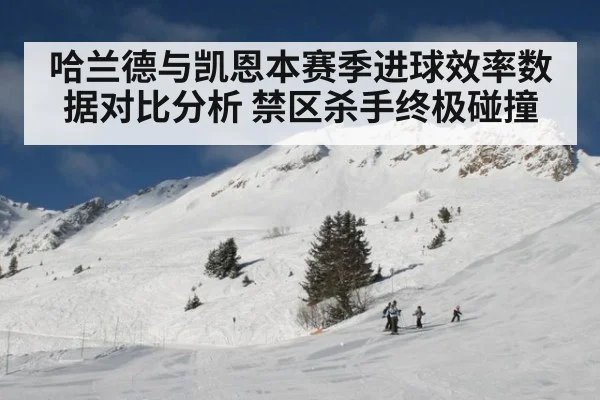 哈兰德与凯恩本赛季进球效率数据对比分析 禁区杀手终极碰撞