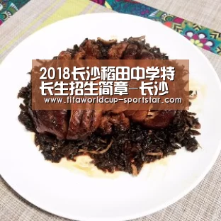 世界杯赛事直播