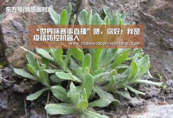 “世界杯赛事直播”喂,你好!我是疫情防控机器人(图3) 世界杯赛事直播