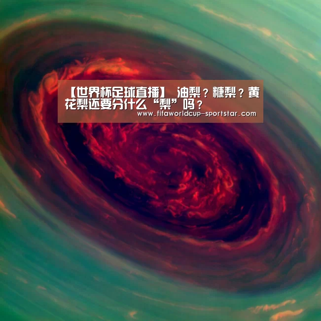 【世界杯足球直播】
油梨？糠梨？黄花梨还要分什么“梨”吗？
