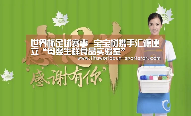 世界杯足球赛事