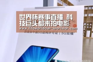 世界杯足球赛事